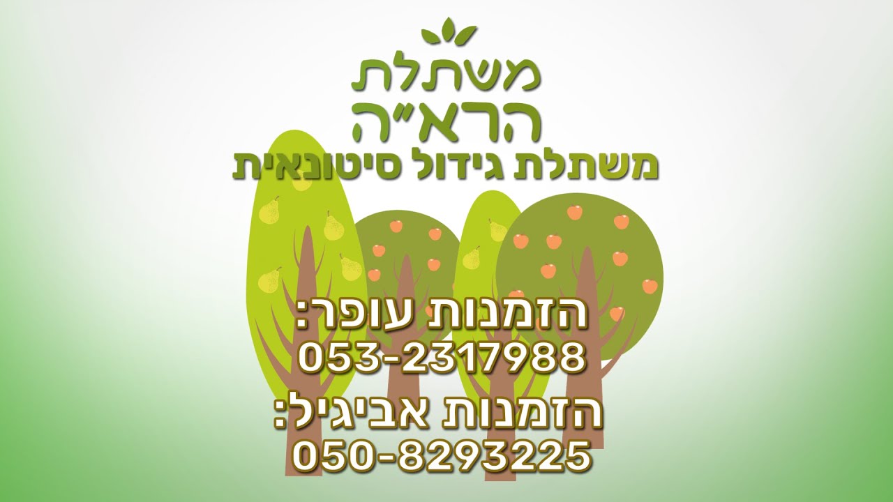 משתלת הרא"ה