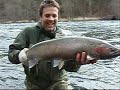 Fly Fishing for Steelhead Highlight Reel