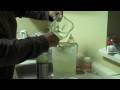 How to make Agua de Pepino(cucumber cooler w/ lime)