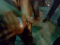 videos de street magic