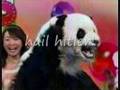 CATS&PANDAS LOL