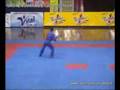 videos de Vovinam Viá»t VÃµ Äáº¡o - Nhat Nguyet Dai Dao Phap