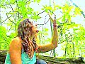 3 Mushroom Video ~