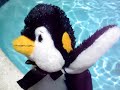 penguin webkinz and turtle see who is a better swimmer