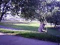 Jumproping Jay