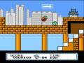 Armadillo 1st Level