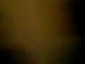 videos de este miri vero i jo 4 papers