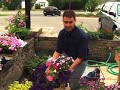 Choosing Annual Flowers Choosing Annual Flowers