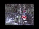 Blue Butterfly Hummingbirds
