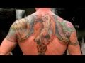 Sylvester Stallone Tribute