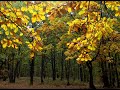 Grigore Leşe - Bătrînit-am, da' nu-i modru