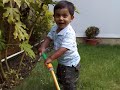 Zak Gardening