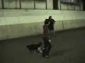 videos de Flip CKC Nov 2008 Edmonton