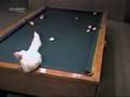 The best pool shot a white chick ever made!