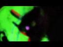 PUnISH yOuRsElF ### Primitive ### Mulhouse LIVE 260408