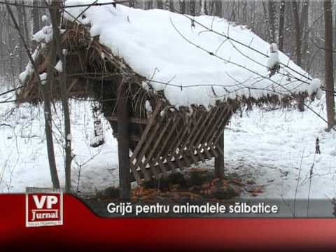 Grijă pentru animalele sălbatice