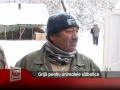 Grijă pentru animalele sălbatice