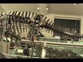 American Museum of Natural History: Creation Myth