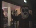 Monkeying Arround in the University of Glamorgan SU