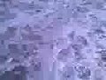 Surfr  up (surfs_up.3gp)