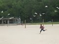 seagulls are my friends