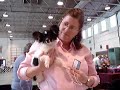 Real Puppies Don\