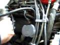 87 mustang GT 308ci, thumpers, afm n-412 cam, cobra intake