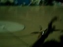 garoto idb 3
