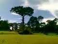 Kebun Raya Bogor