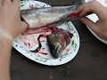 Cleaning Rainbow Trout