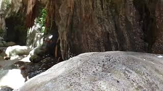 VIDEOS + 73 Avakas George Schlucht Zypern Akamas Kurzvideo 006