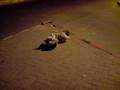 videos de young boy sleeping on the street