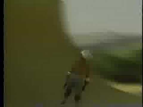 Danny Way- "public domain"