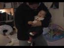 baby matthew playing with daddy, coby and chenoa