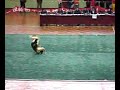 San Jie Gun female : Wuhan University Competition San Jie Gun female : Wuhan University Competition