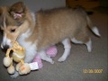 Laci Growing Up!!!