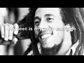 Search Video