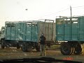 FEED LOT, PUAN