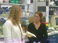 HHMI - Bert Vogelstein: On Becoming a Scientist