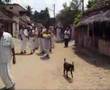 GA Pillyar Chaturti B