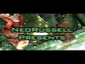 Tekken 6: BR - The Art Of Getting Up Properly