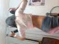 bailando arabe xd