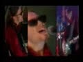 The Bee Spiders(Sigur Ros\