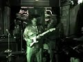 little milton cover - possum in my tree