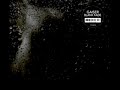 Gaiser - Ciliate with Gaiser - Ciliate with