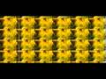 Espacio denso - Los Piratas