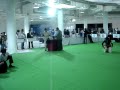 Cole in the show ring