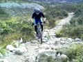Skogshorn 2