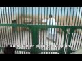 Good Four Life 012 - Bahawalpur Zoo