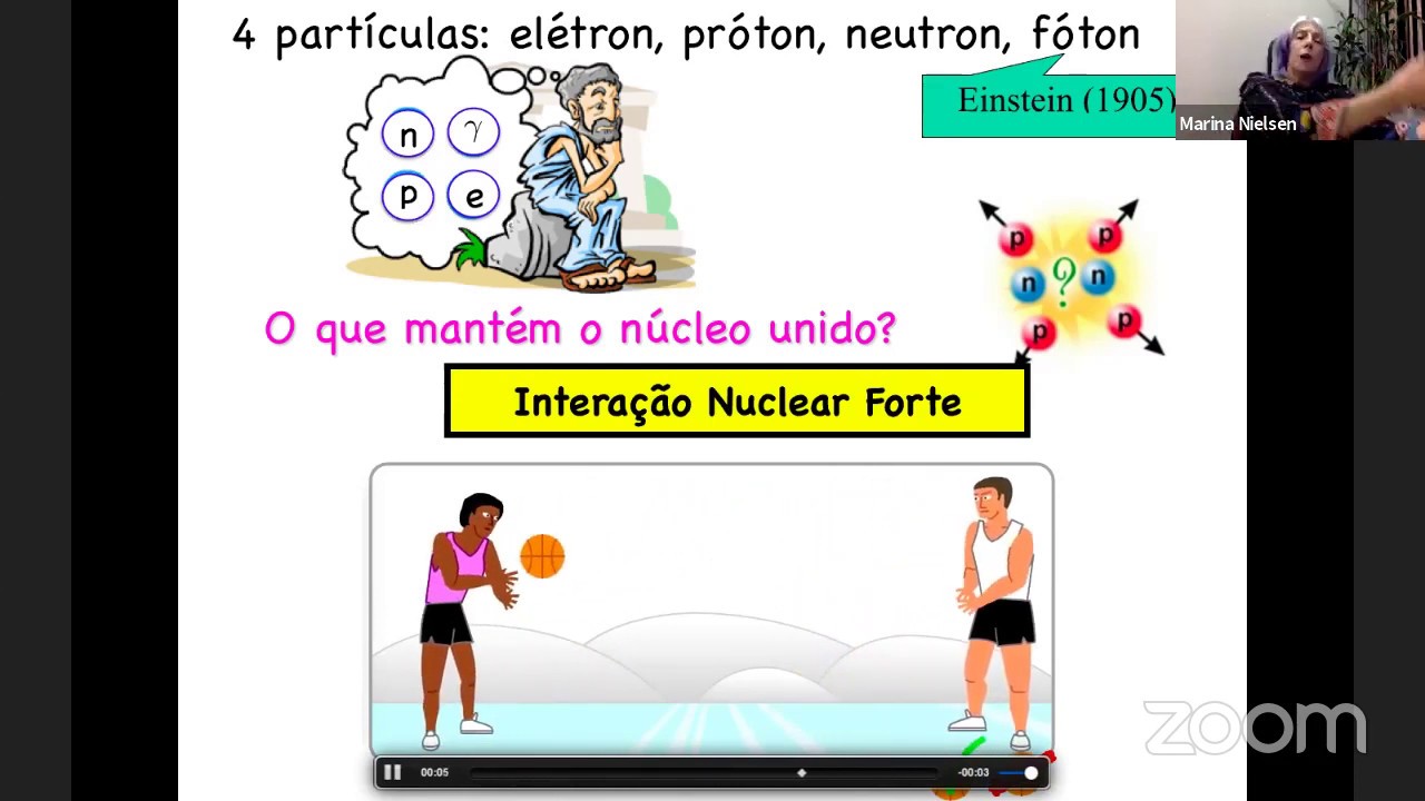 O que são partículas elementares?  Profa. Marina Nielsen